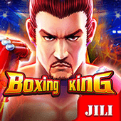 Boxing King at Arion Horse