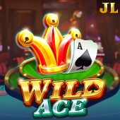 Wild Ace at Arion Horse